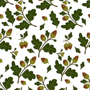 seamless background with oak leaves and nuts, vector graphics