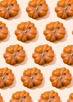 Halloween pattern of spiders sitting on top of raw pumpkins