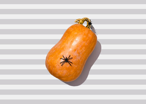 Studio shot of spider sitting on top of raw pumpkin lying against striped background