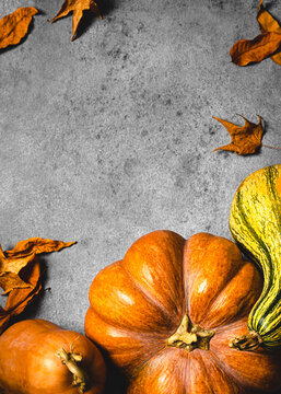 Autumnal background with pumpkins, fallen leaves and copy space