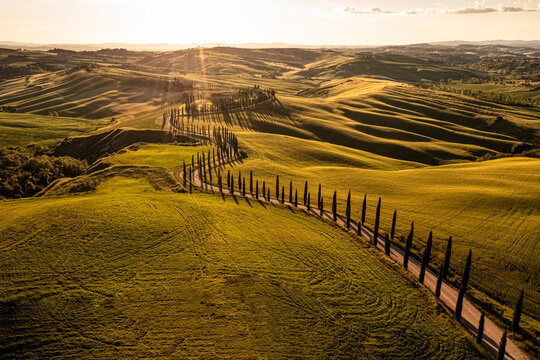 Treelined road winding across rolling landscape at sunset