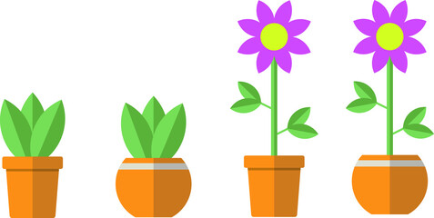 flowers in pots vektor