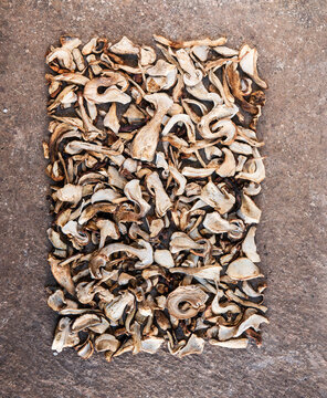 Studio shot of dried porcini mushrooms arranged into rectangular shape