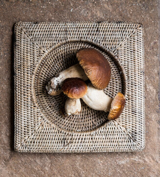 Freshly dug porcini mushrooms lying on square shaped coaster