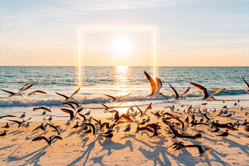 Sun setting over flock of seagulls at Lovers Key State Park beach with glowing square in background