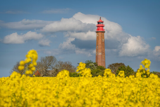 Flugge Lighthouse with oilseed rape field in foreground