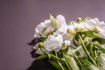 Fototapeta na wymiar Bouquet of fresh white peonies on white old planks background