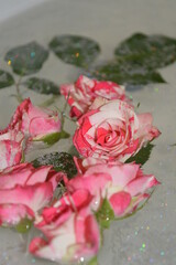 rose and water