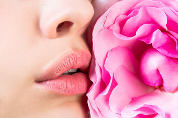 Close-up of female lips with pink flower. Closeup sexy female lip with red color lipstick. Women's lips and red flower. Sensual lips. Woman with rose flower. 