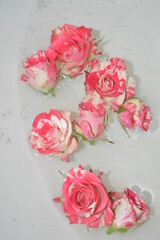 bouquet of pink roses