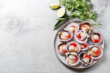 Seafood. Shellfish. Raw scallops with lemon and cilantro on gray plate , gray background
