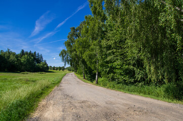 Fototapeta na wymiar Tarmac road between meadows and trees in hot summer in Czechia.
