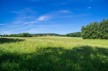 Czech highlands landscape in hot summer. Meadows, blue sky, forests and hills.
