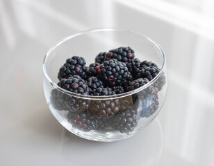 Prime blackberry season.