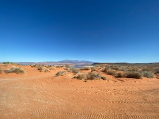 Desert with plants and mountains