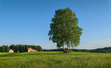 Feldkreuz in der abendlichen, Allgäuer Landschaft