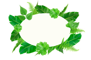Fototapeta premium Green tropical oval leaves frame template, selective focus