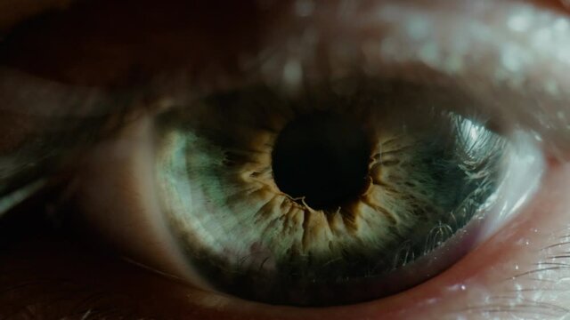 Woman with impossible turquoise eye looks into camera