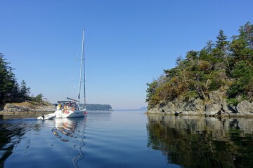 A view of a beautiful empty bay with one sailboat surrounded by trees and calm ocean with the trees...