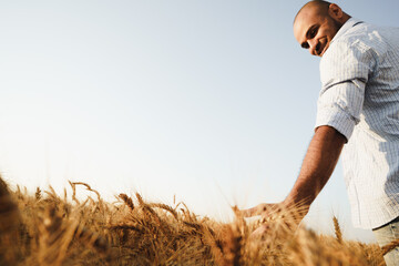 Young man standing in wheat field on sunset