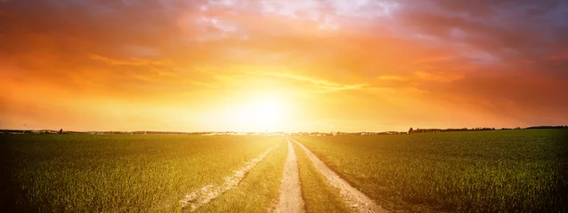 Poster Im Rahmen Panorama der grünen Wiese mit Schotterweg und Sonnenuntergangshimmel. Ländlicher Landschaftssonnenaufgang des Sommers © luchschenF