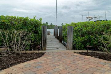 A paved walkway leads to a wooden dock surrounded by mangroves on a cloudy day in florida.