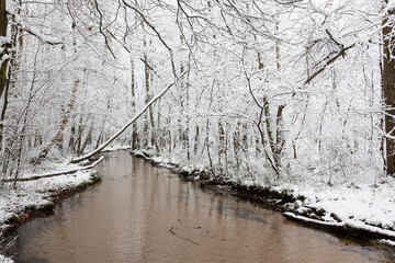 Ein Bach fließt gemächlich durch den verschneiten Wald im Winter.