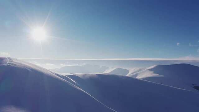 High snowy mountain covered with evergreen fir trees on a sunny cold day