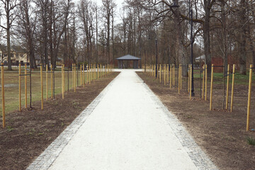Symmetrical road to the gazebo through the park and tree saplings.