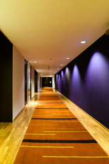 Empty hallway with beautiful walls and light bulbs.