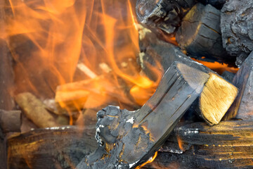 Bonfire made of branches of fruit trees. Flame flutters in wind. Process of preparing coals for barbecue. Close-up. Selective focus.