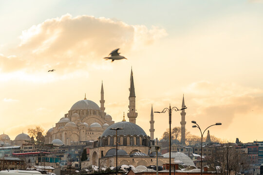 Turkey, Istanbul, Seagull flying over Yeni Cami mosque at dusk