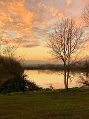 Sunset with green meadow
