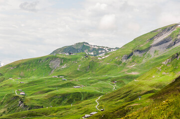 Grindelwald, Berner Oberland, Schwarzhorn, First, Schreckfeld, Wanderweg, Höhenweg, Wanderferien, Grosse Scheidegg, Alpen, Schweizer Berge, Sommer, Schweiz