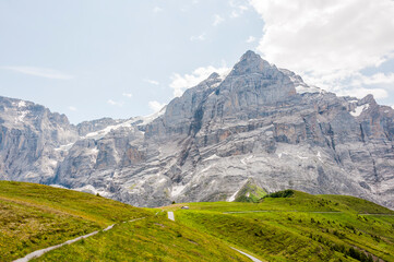 Grindelwald, Wetterhorn, Grosse Scheidegg, Wellhorn, Gistellihorn, Bärglistock, Oberer Grindelwaldgletscher, First, Berner Oberland, Alpen, Wanderweg, Höhenweg, Sommer, Schweiz
