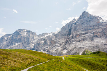 Grindelwald, Wetterhorn, Grosse Scheidegg, Wellhorn, Gistellihorn, Bärglistock, Rosenlaui, Oberer Grindelwaldgletscher, First, Berner Oberland, Alpen, Wanderweg, Höhenweg, Sommer, Schweiz