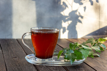 Medicinal tea made from birch chaga is used in folk medicine.