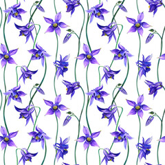 Floral seamless aquilegia pattern. Watercolor raster illustration isolated on white background. Purple spring garden flowers for wallpaper, fashion, textile.