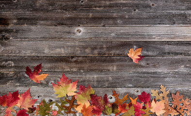 Naklejka na ściany i meble Autumn border with faded leaves on vintage wooden background