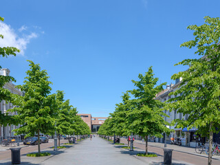 Willemstraat Breda, Noord-Brabant Province, The Netherlands