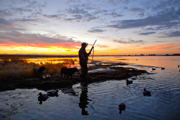 A waterfowl hunter silhouetted at sunrise  - obrazy, fototapety, plakaty
