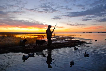 Foto op Canvas A waterfowl hunter silhouetted at sunrise  © Verbbaitum
