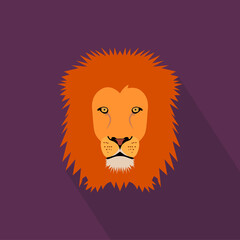 The muzzle of a lion on a lilac background.