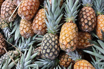 fruit, nature, thorn, pineapple, sour, crown, tropical, yellow fruit, green fruit, fruit.