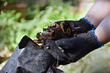 Houseowner is mixing dried leaves, dirt, mushroom, fruits and vegetable together to make the compost in backyard of the house, Soft and selective focus, concept for waste management  at home.
