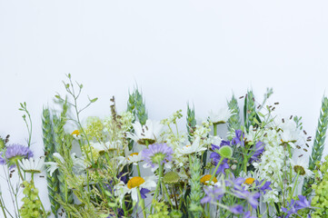 On a light background with space for writing text, a blurred image of wildflowers with spikelets.