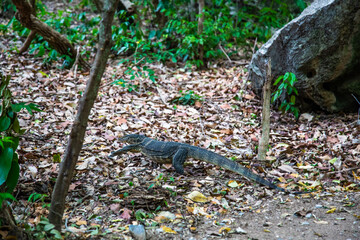 Phraya Nakhon Cave, Khua Kharuehat pavillion temple in Khao Sam Roi Yot National Park in Prachuap Khiri Khan, Thailand