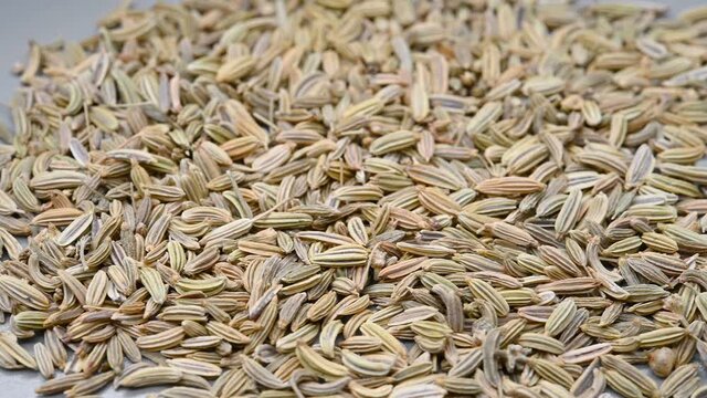 angle pan herb XiaoHuiXiang or Foeniculi Fructus or Fennel Fruit