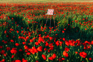 Painted canvas amidst red poppy flowers at field on sunny day