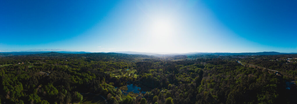 Sun shining over small lake surrounded by green forest